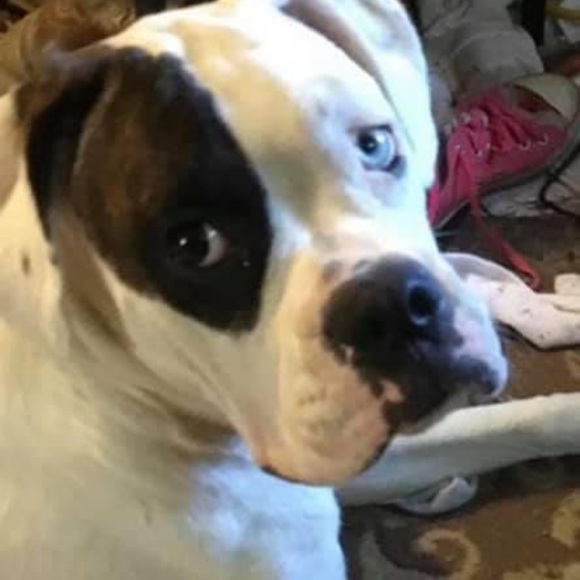 Live Share Show 12/03/2024 1:00pm cst - Picture 8 of 9